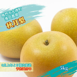yӂ邳Ɣ[Łz_c_ H 5kg yʌzy9{菇\tz Y Ƃǂ ̗ a  V L K Y 
