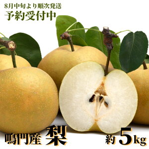 yӂ邳Ɣ[Łzy\tE2025N8{菇z sY uv 5kg yʌz Y a K L Â V Y 