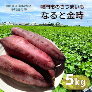 yӂ邳Ɣ[Łzy\tE2025N10菇z{EsYu ȂƋ v5kgyʌz قق Â n Y Yn XC[c  VՂ 