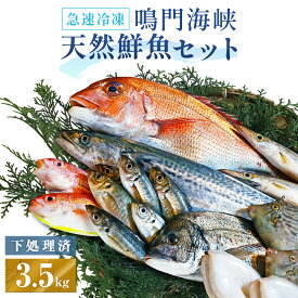 【ふるさと納税】 訳あり 鮮魚セット 3.5kg （ 4～5種 ） 【 数量限定 】 ｜ 魚 魚介類 水産加工品 鯛 タイ わかめ 海藻 カワハギ わけあり 人気 ランキング お得 冷凍 海鮮 詰め合わせ 詰合せ セット お楽しみ おすすめ 下処理 小分け 簡単調理 手軽 徳島 鳴門 産地直送