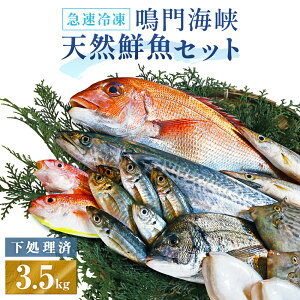 yӂ邳Ɣ[Łz 󂠂 NZbg 3.5kg i 4`5 j y ʌ z b   YHi  ^C 킩 C JnM 킯 lC LO  Ⓚ CN lߍ킹 l Z