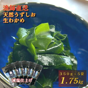yӂ邳Ɣ[ŁzytzVR 킩 350g×5 y  z 킩 킩 VR Y  lC ʂ  X` ݂` X[v hg T_ |̕ a