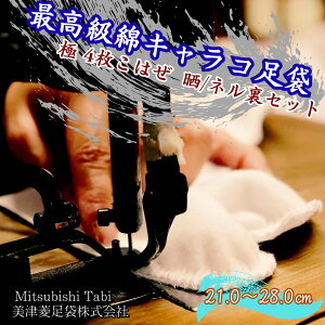 yӂ邳Ɣ[ŁzōȃLR  4͂ N/lZbg|    C LR