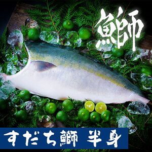 【ふるさと納税】ぶり 《 すだちブリ 》 【 期間限定・申込は12月14日まで 】徳島県産 ぶり 半身約 1.5kg ブリ ブランド鰤 鳴門 | 送料無料 刺身 真空パック クール便 すだちブリ 鳴門北灘漁場
