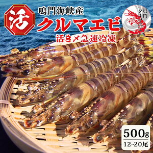 yӂ邳Ɣ[Łzy\tE10菇zY }Ⓚ N}Gr 500g 12~20 Y ԊCV Ԃ  hg tC   ʑ Mtg CN  