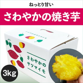 【ふるさと納税】 さわやかの焼き芋 3kg（15本〜25本） ＜ 徳島さわやかファーム ＞ ｜ さつまいも ねっとり 甘い 熟成 国産 産地直送 スイーツ 焼き芋 焼芋 焼きいも おやつ