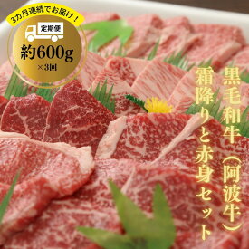 【ふるさと納税】 定期便 3回 赤身 計1.8kg 600g × 3ヵ月 冷凍 セット 詰め合わせ 国産 黒毛和牛 阿波牛 和牛 牛肉 お肉 焼肉 BBQ バーベキュー