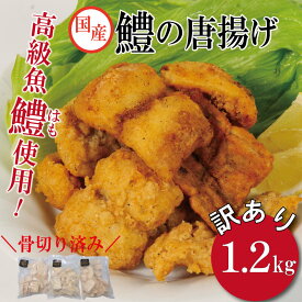 【ふるさと納税】 数量限定 訳あり 鱧 ハモ 唐揚げ 1.2kg から揚げ フライ おかず おつまみ ビール 小分け 個包装 さかな 魚 魚介 鮮魚 魚介類 海鮮 下味付き 冷凍 簡単 調理 惣菜 規格外 徳島 小松島