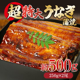 【ふるさと納税】 うなぎ 蒲焼き 特大 250g 500g 1kg タレ付き 冷凍 小分け 特上 うなぎ 肉厚 ふっくら 香ばしい うなぎ蒲焼き 鰻蒲焼 養殖鰻 養殖うなぎ 温めるだけ 簡単調理 うな重 うな丼 土用 丑の日 ふわふわ パリパリ 手焼き ご飯 米 丼 お歳暮 ギフト 贈答