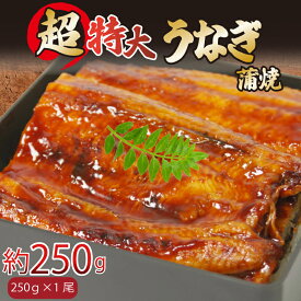 【ふるさと納税】 うなぎ 蒲焼き 特大 1尾 2尾 4尾 250g 500g 1kg タレ付き 冷凍 小分け 特上 うなぎ 肉厚 ふっくら 香ばしい うなぎ蒲焼き 鰻蒲焼 養殖鰻 養殖うなぎ 温めるだけ 簡単調理 うな重 うな丼 土用 丑の日 ふわふわ パリパリ 手焼き ご飯 米 お歳暮 ギフト 贈答
