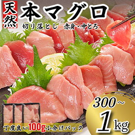 【ふるさと納税】 天然本まぐろ 切り落とし 300g～1Kg マグロ 本まぐろ 中とろ 赤身 天然 鮪 小分け 冷凍 刺身 漬け 晩酌 寿司 ユッケ マグロ丼 ねぎとろ 海鮮