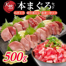 【ふるさと納税】 【中トロ・赤身・ねぎとろ】天然本マグロセット 切り落とし 選べる 300g?1kg マグロ 国産 本まぐろ 中とろ ネギトロ 赤身 天然 鮪 小分け 冷凍 刺身 刺し身 漬け 晩酌 寿司 ユッケ マグロ丼 ねぎとろ 海鮮 魚介類 魚介 便利 徳島県 小松島市
