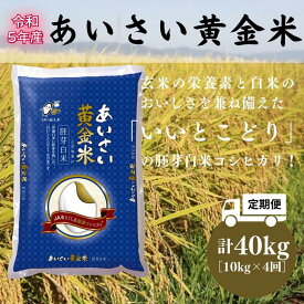 【ふるさと納税】 定期便 4回 白米 計 40kg 10kg × 4ヵ月 40kg 国産 徳島県 コシヒカリ ご飯 令和5年産 あいさい胚芽米