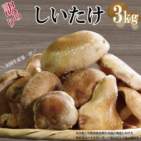 【ふるさと納税】 【たっぷり楽しめる】訳あり しいたけ 3kg 冷蔵 国産 徳島県 全国生産量1位 生しいたけ きのこ 肉厚 濃厚 家庭用 菌床栽培 おかず 鍋 煮物 天ぷら フライ 焼き物 ごはん 炊き込みごはん うどん 佃煮 出汁 焼肉 BBQ 健康 ダイエット 徳島県 小松島市