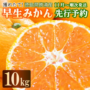【ふるさと納税】 【先行予約】 2025年11月発送 みかん 10kg 優品 M~L 国産 徳島県 勝浦産 果物 フルーツ 早生 獲れたて 蜜柑 温州 産地直送 数量限定 早生みかん 【北海道・東北・沖縄・離島配