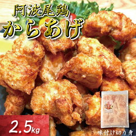 【ふるさと納税】 鶏むね からあげ 阿波尾鶏 1kg ~ 2.5kg 選べる 内容量 冷凍 唐揚げ 唐揚 カラアゲ ミンチ 入り 惣菜 揚げ物 冷凍食品 鶏肉 鶏 鳥 鶏唐揚げ 鶏のから揚げ ブランド 地鶏 おつまみ おかず 弁当 徳島県 小松島