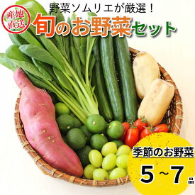 【ふるさと納税】 野菜5～7種セット 旬 エシカル 身体に優しい 野菜 おまかせ 新鮮 採れたて 産地直送 やさい とうもろこし トマト 減農薬 きのこ オクラ 玉ねぎ 美味しい 小松島市