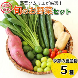 【ふるさと納税】 野菜5～7種セット 旬 エシカル 身体に優しい 野菜 おまかせ 新鮮 採れたて 産地直送 やさい とうもろこし トマト 減農薬 きのこ オクラ 玉ねぎ 美味しい 小松島市