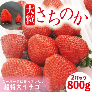 yӂ邳Ɣ[Łz  ̂ 嗱 2pbN ( 1pbN 400gO ) v800gO rbOTCY I ̂ Yn  C`S t[c ʕ XC[c P[L ptF ^g o u