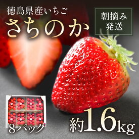 【ふるさと納税】 【2027年1月より順次発送】 いちご 約 1.6kg 200g (8パック) 朝摘み 冷蔵 苺 さちのか イチゴ 四国 徳島 小松島 産地直送 期間限定 フレッシュ フルーツ スイーツ お菓子 おやつ アイス ケーキ パフェ タルト ゼリー 果物 国産 季節限定 大粒 旬 人気