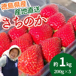 yӂ邳Ɣ[Łz  E ① 1.0kg 200g (5pbN)  ̂ C`S Xgx[ l   Yn Ԍ tbV t[c ʕ Y Gߌuh 嗱 { 
