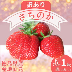 yӂ邳Ɣ[Łz 󂠂  ̂ 5pbN 1pbN150g~200g v750g~1kg  C`S Xgx[ t[c ʕ mَq aَq XC[c َq  ACX P[L ptF ^g [