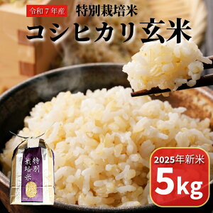 yӂ邳Ɣ[Łz ys\2025N9zRVqJ  5kg ʍ͔| V    N h{ Ղ ꓙ  r^~ ~l s