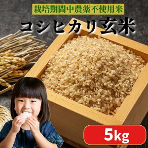 yӂ邳Ɣ[Łz y2025N9z ͔|Ԓ_sgp RVqJ 1.5kg`5kg   w엿sgp V  N  _CGbg h{Lx r^~ ~l s