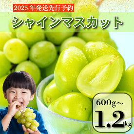 【ふるさと納税】 【2025年9月順次発送】 シャインマスカット 約600g～1.2kg 1房/2房 産地直送 季節限定 ぶどう ブドウ くだもの 中国・四国地方 四国 徳島 小松島 マスカット 高級シャインマスカット 化粧箱入り 8月 9月 10月 11月 発送 フルーツ 先行予約 送料無料