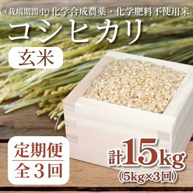 【ふるさと納税】 【令和7年産新米】 玄米 定期便 3回 米 コシヒカリ 計15kg 5kg × 3回 お米 おこめ こめ ごはん 国産 白飯 ご飯 TKG 卵かけご飯 おにぎり おむすび 新生活 ふるさと ランキング 栄養 健康 安全 化学合成農薬不使用 いのち育む田んぼ米 生物多様性 送料無料