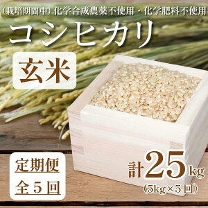 yӂ邳Ɣ[Łz yߘa7NYVāz   5  RVqJ v25kg 5kg × 5    ͂ Y   TKG  ɂ ނ V ӂ邳 LO h