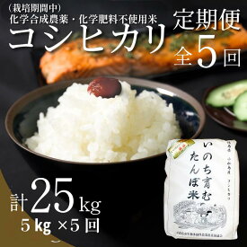 【ふるさと納税】 【令和7年産新米】 定期便 5回 米 コシヒカリ 計25kg 5kg × 5回 白米 お米 おこめ こめ 精米 ごはん 国産 限定 白飯 ご飯 ランキング おいしい TKG 卵かけご飯 おにぎり 化学合成農薬不使用 いのち育む田んぼ米 生物多様性 送料無料 徳島県 小松島市