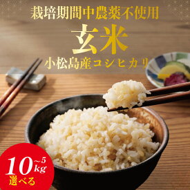 【ふるさと納税】 栽培期間中農薬不使用 玄米 5kg~10kg コシヒカリ 令和7年産 米 こめ ご飯 ごはん おにぎり 卵かけご飯 白米 食品 備蓄 備蓄米 保存 防災 ギフト 贈答 プレゼント お取り寄せ グルメ 送料無料 徳島県