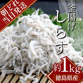 【ふるさと納税】 しらす 冷蔵 1kg (500g×2パック) (ドサッと1kg) 瀬戸内海 小松島 水揚げ 釜揚げ 当日発送 紀伊水道 鳴門 海域 しらす丼 特産品 海産物 新鮮 国産 新米 白米 卵ご飯 【北海道・沖縄・東北・離島への配送不可】 【先行予約】 【2025年6月より順次発送】