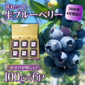 【ふるさと納税】 ブルーベリー 大粒 600g ( 100g × 6パック ) 先行予約 2026年4月より順次発送 フルーツ 果物 ハウス栽培 生ブルーベリー 採れたて 産地直送 新鮮 人気 くだもの アイス シャーベット ジェラート ソフトクリーム ジュース スムージー ヨーグルト 朝食 旬