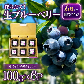 【ふるさと納税】 ＜2週間配送＞ 生ブルーベリー 600g 産地直送 小分け （100g×6パック）採れたて ブルーベリー 国産 完熟 果物 フルーツ 朝採れ 朝どり 朝どれ 露地栽培 青果物 クール便 ヨーグルト