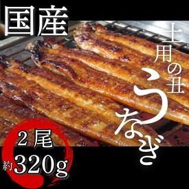 【ふるさと納税】 うなぎ 鰻 ウナギ 国産 蒲焼き 2 ～ 5尾 特上 タレ付き かば焼 蒲焼 鰻蒲焼き 鰻蒲焼 養殖鰻 養殖うなぎ うな重 うな丼 ひつまぶし タレ セット 魚 魚介 惣菜 ギフト 贈り物 贈答 土用の丑 土用 丑の日 和食 日本料理 徳島県