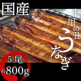 【ふるさと納税】 うなぎ 鰻 ウナギ 国産 蒲焼き 2 ～ 5尾 特上 タレ付き かば焼 蒲焼 鰻蒲焼き 鰻蒲焼 養殖鰻 養殖うなぎ うな重 うな丼 ひつまぶし タレ セット 魚 魚介 惣菜 ギフト 贈り物 贈答 土用の丑 土用 丑の日 和食 日本料理 徳島県