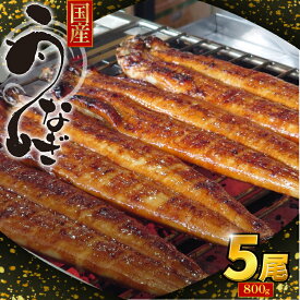 【ふるさと納税】 【タレとごはんで絶品】うなぎ 鰻 ウナギ 国産 蒲焼き 2 ～ 5尾 特上 タレ付き かば焼 蒲焼 鰻蒲焼き 鰻蒲焼 養殖鰻 養殖うなぎ うな重 うな丼 ひつまぶし タレ セット 魚 魚介 惣菜 ギフト 贈り物 贈答 土用の丑 土用 丑の日 和食 日本料理 徳島県