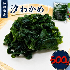 【ふるさと納税】 【選べる容量】 わかめ 500g 1kg 塩蔵わかめ 汐わかめ ワカメ 若芽 wakame 小分け 湯通しわかめ 海藻 海産物 味噌汁 ごはん 夕飯 おかず サラダ 徳島県 小松島市