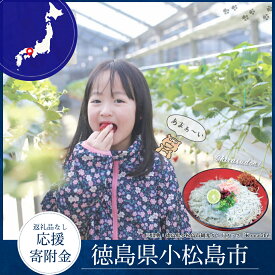 【ふるさと納税】 徳島県小松島市 【 返礼品なしの寄附】1000円 ～ 3,000,000円 応援寄附金 応援 支援 災害 子育て 1口 1000円から ふるさと納税 観光徳島 小松島 寄付 南海トラフ 巨大 地震 津波 避難 タワー 子育て世代 応援 プロジェクト 子供 応援寄付