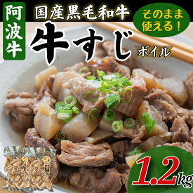 【ふるさと納税】 牛すじ ボイル 300g～1.2kg 冷凍 国産 黒毛和牛 阿波牛 和牛 牛肉 牛すじ煮込み カレー おでん 下処理済