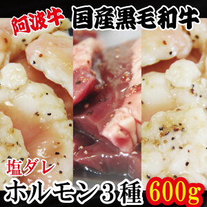 【ふるさと納税】 ホルモン 小腸 大腸 ハツ 3種セット 阿波牛 200g×3パック 小分け 計600g 国産 牛 黒毛和牛 鍋 焼肉 脂 焼き シマチョウ ホソ もつ 肉 牛肉 BBQ 【北海道・東北・沖縄・離島への