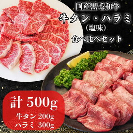 【ふるさと納税】 国産 牛タン ハラミ セット 計500g 牛肉 タン 薄切り ハラミ 希少部位 焼き肉 BBQ 焼肉 肉 お肉 高級 絶品 ふるさと納税 小松島市