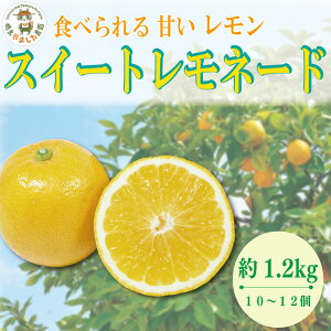yӂ邳Ɣ[Łz y2025N10z XC[gl[h 1.2kg (10`12)   EG k t[c ʕ n Y VN ʏ` T[  nC{[ W[X nC P[