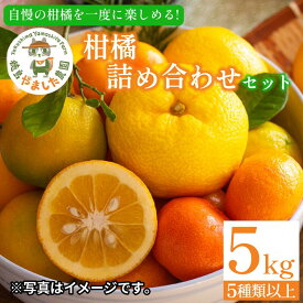 【ふるさと納税】 【2026年1月下旬順次発送】 柑橘 詰め合わせ5種以上 3kg or 5kg しらぬい きよみ はるか 文旦 はっさく みかん レモン スイートレモネード 詰め合わせ フルーツ 果物 お取り寄せ 人気 国産