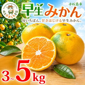 【ふるさと納税】 早生みかん 3kg ~ 5kg 【2026年10月下旬順次発送】 【先行予約】みかん 早生 柑橘 果物 くだもの フルーツ 国産 新鮮 甘い 農家直送 徳島県 小松島市