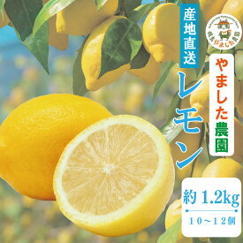【ふるさと納税】 【2025年10月順次発送】 レモン 1.2kg (10～12個) レモン れもん 檸檬 柑橘 フルーツ 果物 完熟 国産 新鮮 果汁 レモンサワー お酒 ハイボール ジュース 酎ハイ ケーキ 揚げ物 唐揚げ小松島 徳島