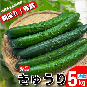 yӂ邳Ɣ[Łz イ Gi 5kgȏi54{jVN ̂ イ s  Ė Yn 5kg |̕ ӉZ LE  s