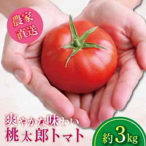 yӂ邳Ɣ[Łz yIׂ邨͂z g}g 1~3kg Y s\ Â  ₳ Y Yn ʌ { Yg}g  VN \[X  P`bv T_ e VN N 